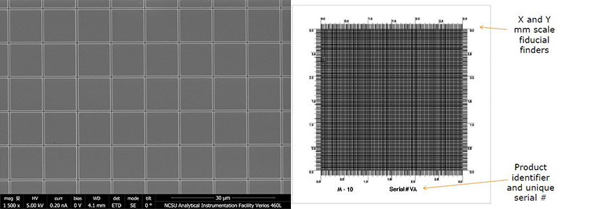 EM-Tec M-10 calibration standard with 10µm grid pattern